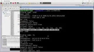 Java to list Network Interface Parameters (include MAC address), run on Raspberry Pi/Raspbian Jessie