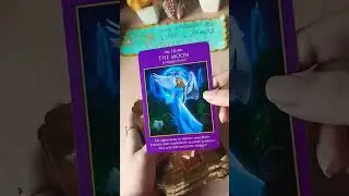 Angel guidance for next 24 Hours 🕉️ #pickacard #timeless #tarot #india #riyathetarotcardreader