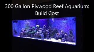 300 Gallon Plywood Reef: The Build Cost