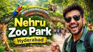 Hyderabad Zoo Full Tour 🦁 | Nehru Zoological Park Complete Walkthrough