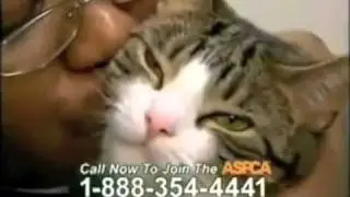 Guile's Theme ASPCA