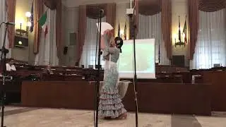 guajira flamenca in sala consiliare comune Pescara