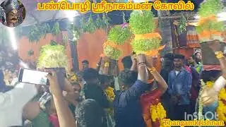 🛑💥 பண்பொழி ஸ்ரீநாகம்மன் கோவில் கொடை விழா முளைப்பாரி ஊர்வலம்