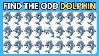 Can You Find The Odd One Dolphin || Odd One Emoji Challenge || Daily Video