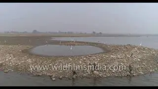 Sariska National Park buffer - aerial of farmlands, Aravalli scrub forest, fort, Rajasthan villages