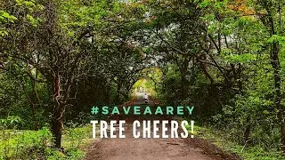 DataBaaz | Fighting For Aarey: Residents And Tribals Protest Metro Car Shed