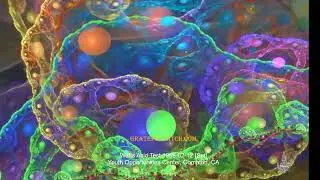 Grateful Dead 1966-02-12 [Sat]Watts Acid Test Youth Opportunities Center, Compton, CA