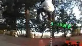 Telini