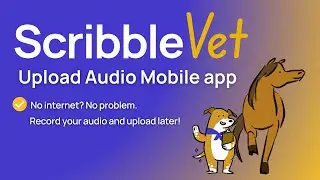 Upload Audio to ScribbleVet mobile app