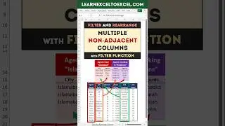 Excel Pro Trick: Filter and Rearrange Non Adjacent Columns with FILTER Function in Excel Formula