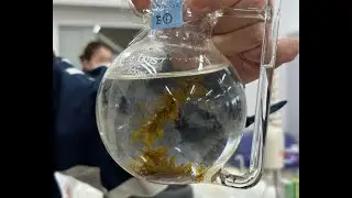 Cultivo de Undaria Pinnatifida: tecnolog&iacute;as aplicadas a la producci&oacute;n de Wakame en Jap&oacute;n.