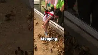This Girl Got a Baby Chick From the Zoo 🐥❤️