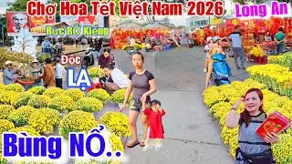Chợ Hoa Tết việt nam 2026 Bùng NỔ..Long An rực rỡ hoa kiểng Độc Lạ đón xuân
