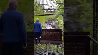 Scottish Falls of Falloch  #scotland