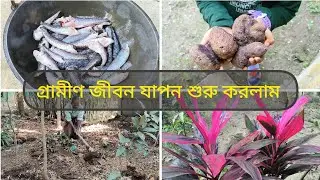 বাড়িতে🏠কাজ করা শুরু করলাম। তাজা🐟মাছ কাঁটার মজাই আলাদা#lifestylevlog 