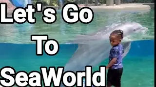Social Distancing at SeaWorld