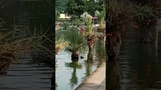 #water #talabh #watersounds #waterstreamsounds