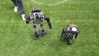 Walking Pattern Generation for Humanoid Robots