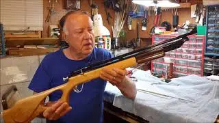 DRAGONFLY AIR RIFLE