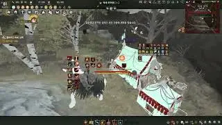 BDO Hexe Awk Striker lv2 no agris #blackdesertonline #blackdesert #검은사막 #헥세 #격투가