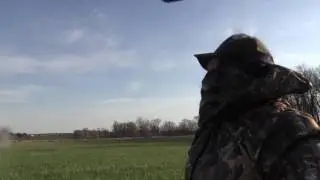 Best Ever Turkey Reaping Compilation