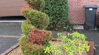 🏡 Reiheneckhaus mit Traumgarten – ein echtes Zuhause zum Verlieben! 🏡 (17.01.2026)