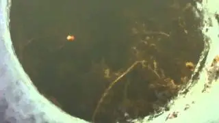 Sight Icefishing (looking down the hole) - Icehole Adventure #1 for 2013