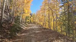 Alpine Tunnel Road,  Pitkin Colorado  September 27, 2024