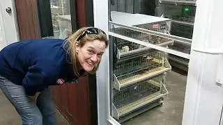 Chicken Run 2020 Cackle Hatchery Lebanon Missouri 1of2