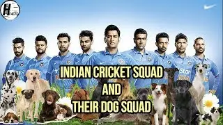 Indian Cricket Squad & Their Dog Squad | HINGLISH FACTS