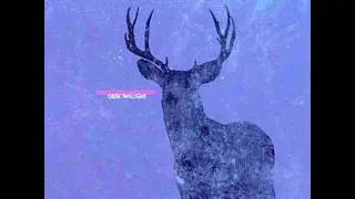 Cold Body Radiation - Shimmer