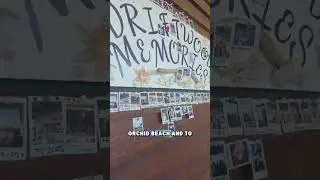 Если кто-нибудь поедет на пляж Орхид на острове Фрейзер и увидит нашу фотографию, сфотографируйте...