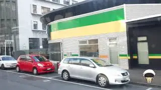 surrounding wellington new zealand by bus #NZ #5 #part2
