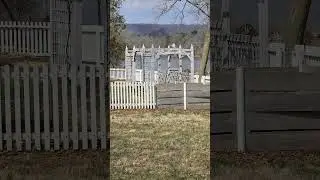 5X Phone Camera Photos (Samsung Galaxy S24 Ultra 12mp) #photography #historical #cameralens