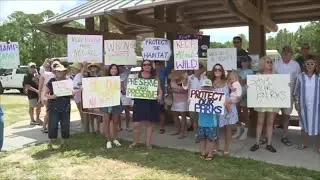 State leaders and advocates react to signing of bill that protects Florida's parks