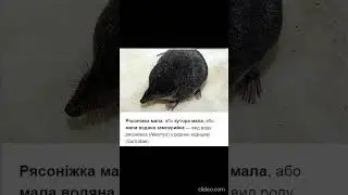 Всі Комахоїдні України!
