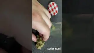 Swiss Weed homemade
