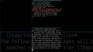 Sanic Versus Flask | Cual es más rápido?  #python #flask #sanic #framework #benchmark