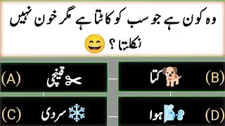 New Urdu Riddles | نئی اردو پہیلیاں | Funny & Brain Teaser Quiz 🤔