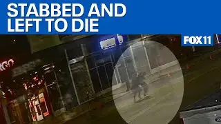 Video shows brutal stabbing in downtown LA  | FOX 11 LA