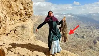 Mountain nomad woman encounters a wild animal - a real and moving moment