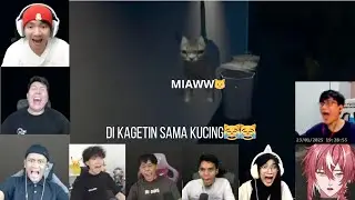 REAKSI YOUTUBER DI KAGETIN SAMA KUCING 😹😹😹 | Night Shift Laundry |#jumpscare #horror #reaksi #gaming