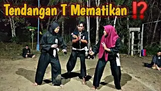 Tendangan T Mematikan |Sambung Srikandi PSHT ganas-ganas