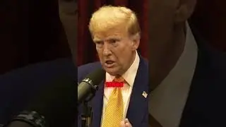 Trump Considers Abolishing The Income Tax In the United States