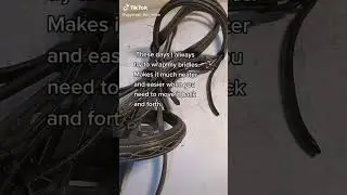 Benefits of wrapping bridle  #commissionsearned #bridle
