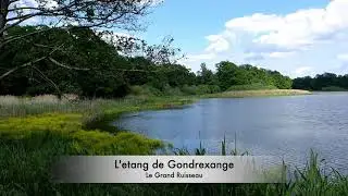 etang gondrexange