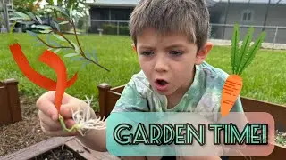 The Skipperbros garden July 2024