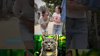 Catstar😻. #cat #funny #ronaldo #tiktok #shorts