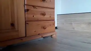 Cute Ferret Snoopy favourite hiding place LOL-  revealed after 15 secs  !