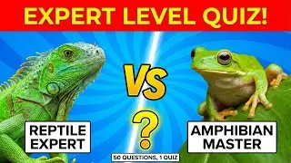 50 Fast Reptile vs Amphibian Questions That Will Stump You!